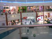 Imagen827